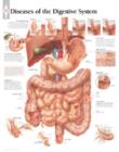 Diseases of the Digestive System Paper Poster - Book
