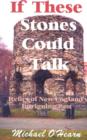 If These Stones Could Talk : Relics of New England's Intriguing Past - Book