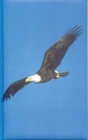 Eagle Blank Journal - Book
