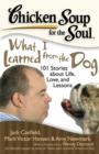 Chicken Soup for the Soul: What I Learned from the Dog : 101 Stories about Life, Love, and Lessons - Book