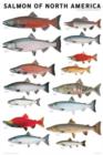Salmon of North America Poster - Book