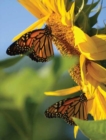 Butterfly Sunflower Blank Journal - Book