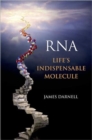 RNA : Life's Indispensable Molecule - Book