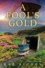 A Fool's Gold : A Novel of Suspense and Romance - Book