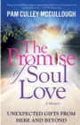 The Promise of Soul Love : Unexpected Gifts From Here and Beyond - Book