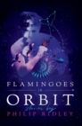 Flamingoes in Orbit - Book