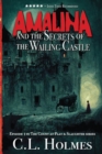 Amalina and the Secrets of the Wailing Castle : Episode 1 in the Count at Play & Slaughter series - Book