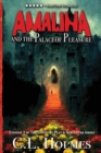 Amalina and the Palace of Pleasure : Episode 2 in The Count at Play & Slaughter Series - Book