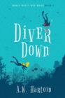 Diver Down - Book