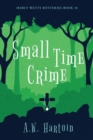 Small Time Crime - Book