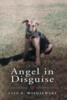 Angel in Disguise - Book