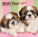 Shih Tzu Puppies 2020 Mini Wall Calendar - Book