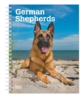 German Shepherds 2020 Diary - Book