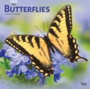 Butterflies 2021 Square Calendar - Book
