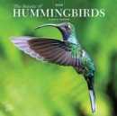 HUMMINGBIRDS THE BEAUTY OF 2024 SQUARE S - Book