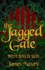 The Jagged Gate : Twelve Tangled Tales - Book