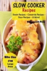 Slow Cooker Recipes - Bite Size #10 : Steak Recipes - Casserole Recipes - Stew Recipes - & More! - Book