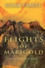 Flights of Marigold - Book