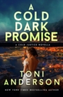 A Cold Dark Promise : A Romantic Thriller - Book