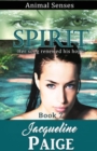Spirit - Book