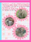 The Bold and Beautiful Bunnies of Jericho Beach - Book