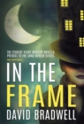 In The Frame : Series Prequel Mystery Novella - Anna Burgin Book 0 - Book