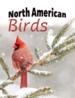 North American Birds - Book