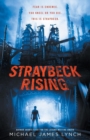 Straybeck Rising - Book