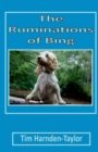 The Ruminations of Bing : Lines From My Forehead - Book
