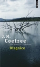 Disgrace - Book