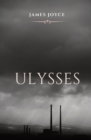 Ulysses : A book chronicling the passage through Dublin by a man, during an ordinary day, June 16, 1904. The title alludes to the hero of Homer's Odyssey (Latinised into Ulysses), and there are many p - Book