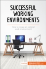 Successful Working Environments : How to create an optimal work environment - eBook