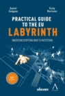 The practical guide to the eu labyrinth : Understand everything about EU institutions - eBook