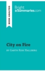 City on Fire by Garth Risk Hallberg (Book Analysis) : Detailed Summary, Analysis and Reading Guide - Book