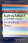 Exploring Resilience : A Scientific Journey from Practice to Theory - Book