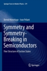 Symmetry and Symmetry-Breaking in Semiconductors : Fine Structure of Exciton States - Book