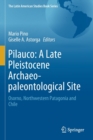 Pilauco: A Late Pleistocene Archaeo-paleontological Site : Osorno, Northwestern Patagonia and Chile - Book