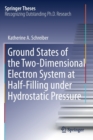 Ground States of the Two-Dimensional Electron System at Half-Filling under Hydrostatic Pressure - Book