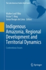 Indigenous Amazonia, Regional Development and Territorial Dynamics : Contentious Issues - Book