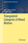 Triangulated Categories of Mixed Motives - eBook