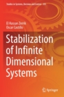 Stabilization of Infinite Dimensional Systems - Book