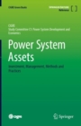 Power System Assets : Investment, Management, Methods and Practices - Book