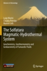 The Solfatara Magmatic-Hydrothermal System : Geochemistry, Geothermometry and Geobarometry of Fumarolic Fluids - Book