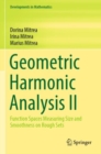 Geometric Harmonic Analysis II : Function Spaces Measuring Size and Smoothness on Rough Sets - Book