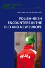 Polish-Irish Encounters in the Old and New Europe - Book