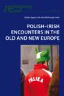 Polish-Irish Encounters in the Old and New Europe - eBook