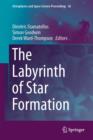 The Labyrinth of Star Formation - Book