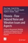 Flinovia - Flow Induced Noise and Vibration Issues and Aspects : A Focus on Measurement, Modeling, Simulation and Reproduction of the Flow Excitation and Flow Induced Response - eBook