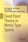 Fixed Point Theory in Metric Type Spaces - eBook