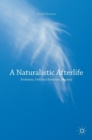 A Naturalistic Afterlife : Evolution, Ordinary Existence, Eternity - Book